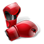 BOXING logo