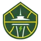 Logo of Seattle Storm