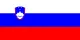 Logo of Slovenia team